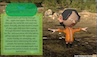3D Character image by JuanV